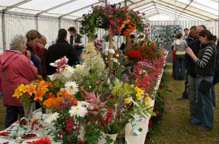 Home crafts tent