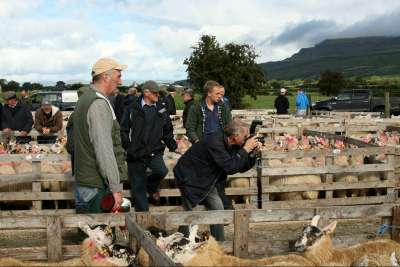 The Aghanloo show outside Limavady
