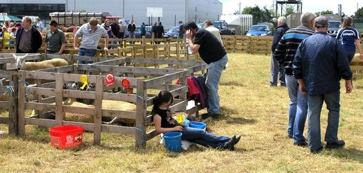At the Limavady Show