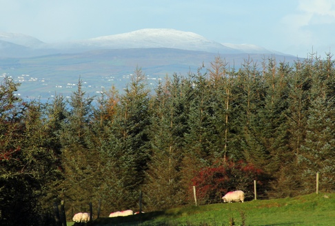 The first snow of Winter