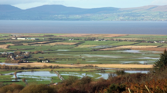 Flooded Myroe