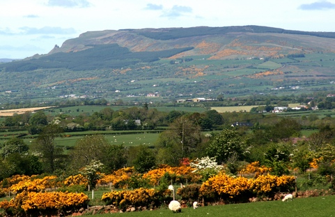 Benevenagh mountain