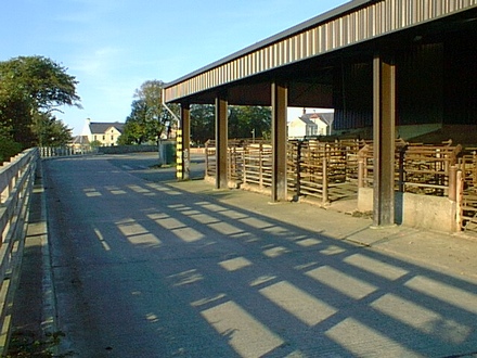 Old stock-pen in the Market Yard