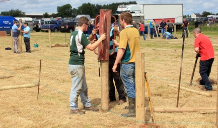 fencing