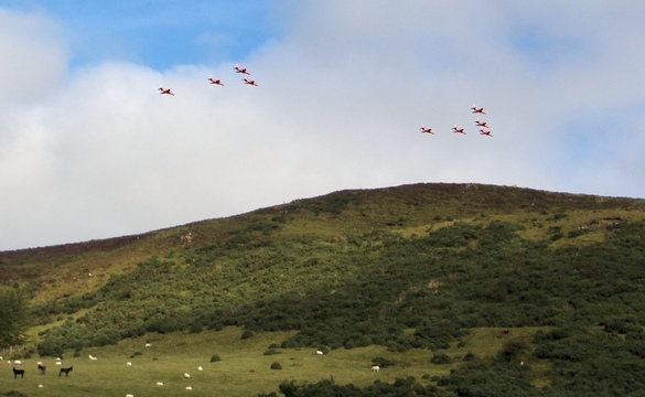 Nine red arrows