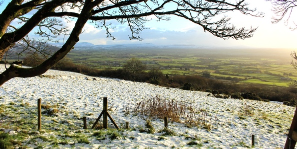 A wintery day