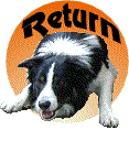 Return button with collie