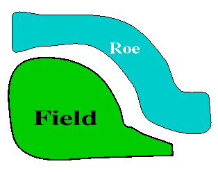 The layout of said field.