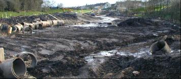 The Back Burn Park