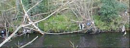 River junk