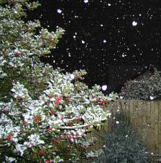 Snow in Limavady