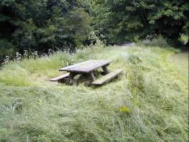 A lot of grass around a picnic table