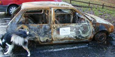 A burnt out car