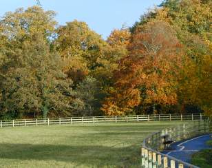 Autumn in the Roe Valley Country Park