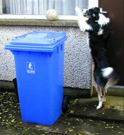 A blue bin close up