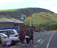 The blue flag