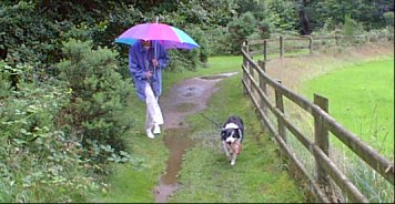 Rainy July