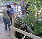 Men at work