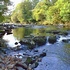Tiny view of the Roe