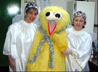 Three birds, two white, one yellow